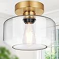 Industrial Semi Flush Mount Ceiling Light Brushed Gold, 800 Lumen LED Bulb Included, Clear Glass Shade Ceiling Light Fixture, Light Fixture for Hallway Bathroom Bedroom, Vintage Hanging Light Fixtures
