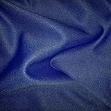 12 Ft. High x 5 Ft. Wide Premier Drape Panel