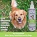 Primo Pup Bitter Spray Taste Deterrent for Dogs Vet Health | Stops Damaging Chewing, Biting and Licking | 8 fl oz