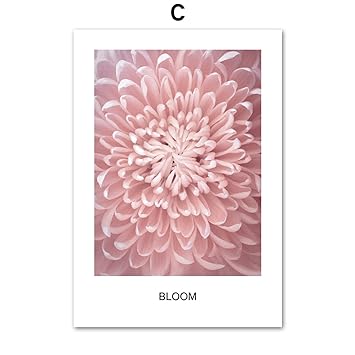 Amazon De Pocket Shop Wall Art Canvas Flamingo Schmetterling Blumen Strand Meer Wandbild Leinwand