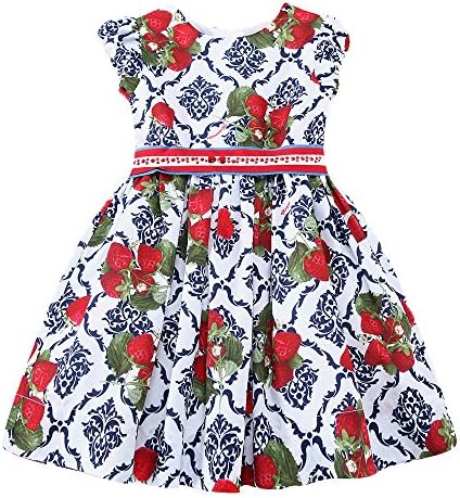 Girls Strawberries Print Princess Dress Kids Party,Spring Summer,Size 4-12Y (4T)