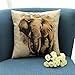 Kate 18 x 18 Inches Hand Painting Elephant Decorative Pillow Cover Double Printed Cotton Linen Blend Throw Cushion Case