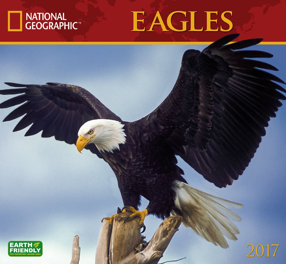 Amazon Com National Geographic Eagles 2017 Wall Calendar 9781772180244 National Geographic Society Books