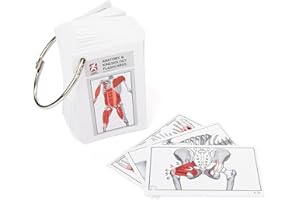 Anatomy & Kinesiology Flashcards