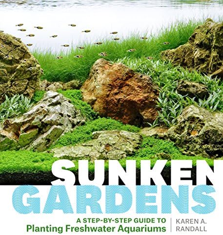 Sunken Gardens