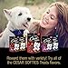 Cesar Softies Chewy Small Dog Treats Medley Trio, 6 oz. Pouch