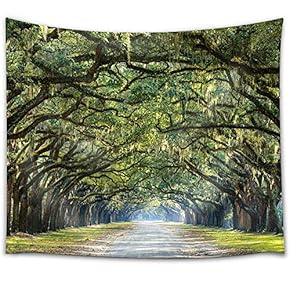 Arc of Trees Forming a Path - Fabric Tapestry, Home Decor - 51x60 inches