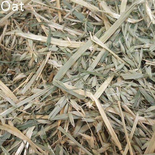 Small Pet Select Hay, Sampler Box