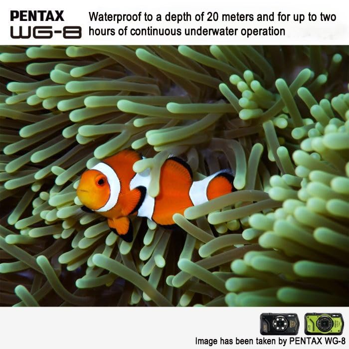 PENTAX WG-8 Black All-Weather Adventure Camera, Featuring Outstanding Waterproof, dustproof, Shock-Resistant Performance, Multi-Application Ring Light for Macro Photography and Webcam Function