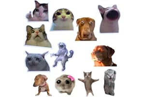 Funny Magnets, Fun Cute Cool Meme Phrase Quote Word Magnet Set for Adults; Applicable on Fridge, Refrigerator & Car with Jesu