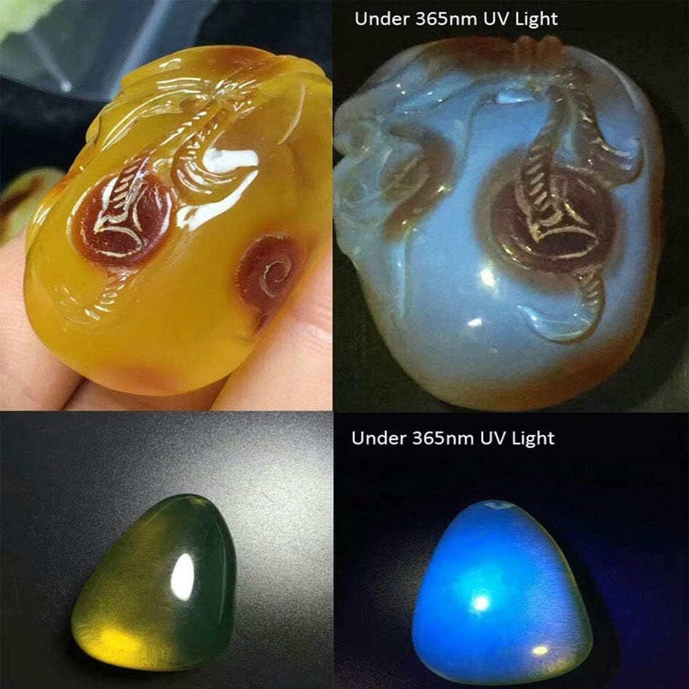 UV LED Black Light Handheld Flashlight Waterproof Flashlights with Filter Lens Lamp Rechargeable Batteries Blacklight Detector for Spot Carpet Pet Urine Stain Catch, Resin Glue Curing Light - - 