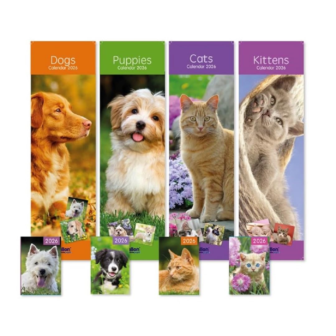 PaulStore 2026 Slim line Calendar New Year One Month View Home Wall Calendar & Pocket Diary (Random Design)