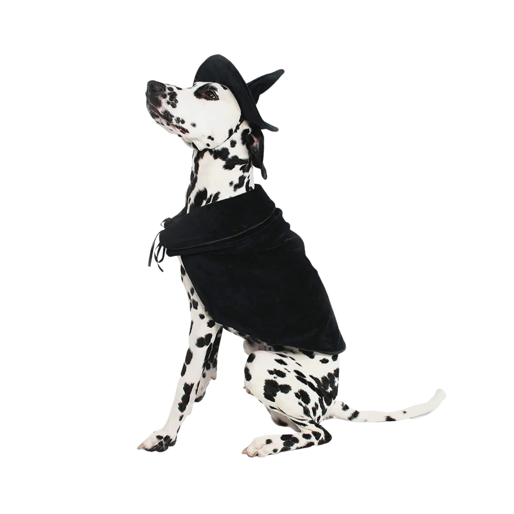 Photo 1 of Midlee Halloween Witch Cape and Hat Dog Costume (X-Large)