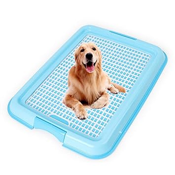 AUOKER Pet Time Dog Toilet, Training Dog Potty Tray, Keep Paws Dry, Protect Floors Clean, Easy to Clean Up, Design for Puppies, Small Medium Dogs & Cats, Guarantee