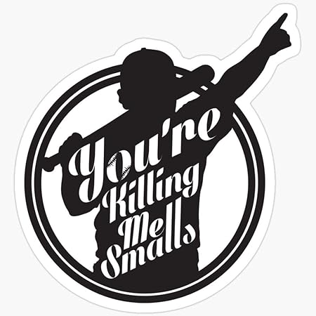 Pegatina de Vinilo para Coches, Camiones, Botella de Agua, Nevera ...