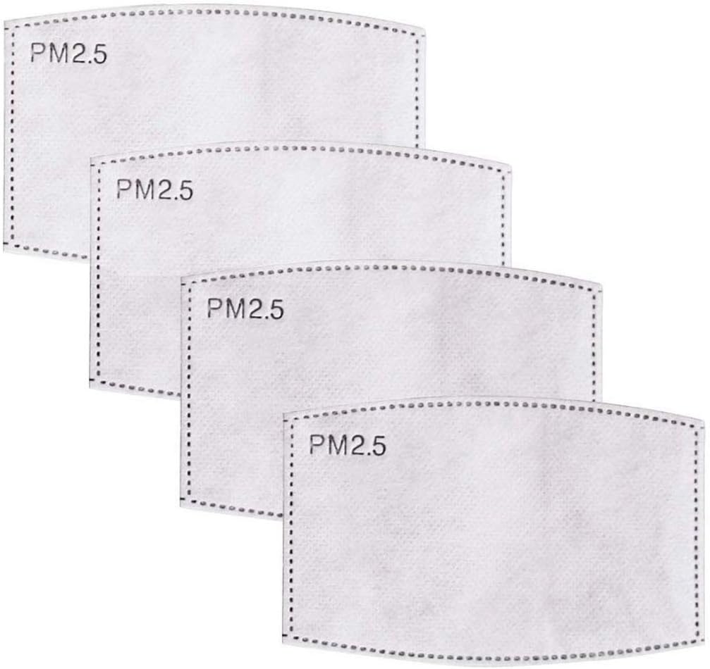 (10pcs) Reusable N95 Mask PM2.5 N95 Respirator Masks Dust Mask 3 Layer Activated Carbon Filter Only Filters