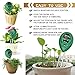 CooAgo Soil Tester Moisture Meter, Light and PH Acidity Tester, 3 in 1 Soil Test Kit Gardening Tools for Plant, Lawn, Farm, Indoor/Outdoors, Easy Read Indicator (No Battery Needed)thumb 4