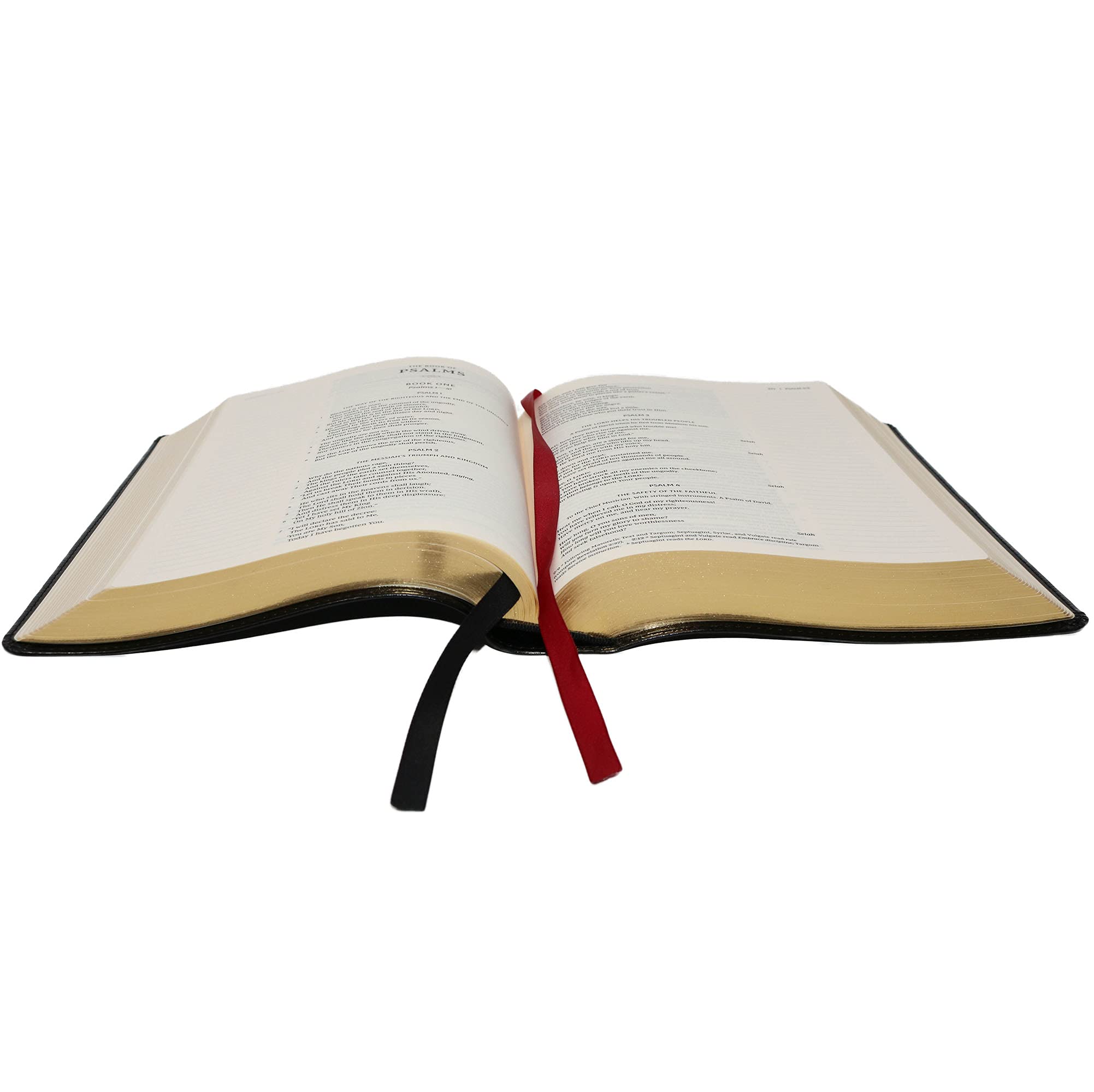 KJV Journal the Word Bible, Reflect, Journal or Create Art Next to Your Favorite Verses (Pink Floral Cloth over Board, Red Letter, Comfort Print: King James Version Holy Bible) KJV Journal the Word Bible, Reflect, Journal or Create Art Next to Your Favorite Verses (Pink Floral Cloth over Board, Red Letter, Comfort Print: King James Version Holy Bible) KJV Journal the Word Bible, Reflect, Journal o
