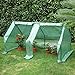 CO-Z Portable Greenhouse Mini Hot House with PE and Non-Woven Cover, Waterproof Cloche Greenhouse and UV Protected Greenhouse Tent, 5.9 x 3.0 x 3.0 Feet.
