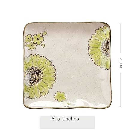 BaoKangShop Platos para microondas Plato de Pasta de ...