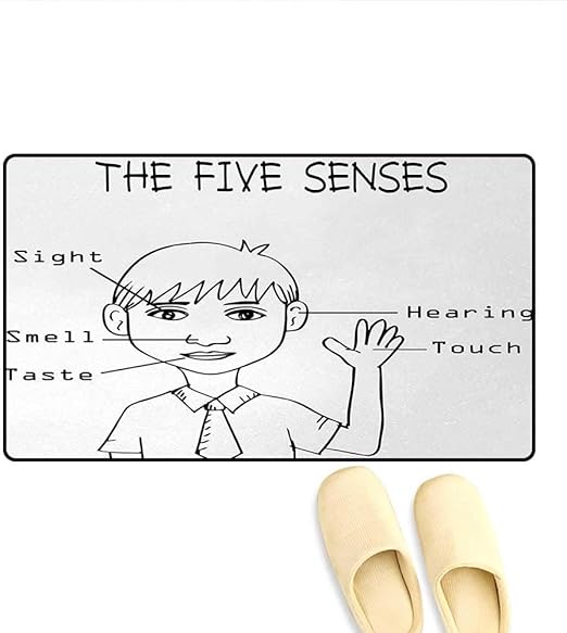 Felpudo Cinco Lentes Que Se Muestran En El Dibujo Monocromo Con