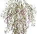 Meiliy 31.5'' Artificial Fake Hanging Vine String Plant for Home Garden Wall Decoration, Purple