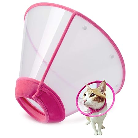 Amazon soft cone dog Clearance