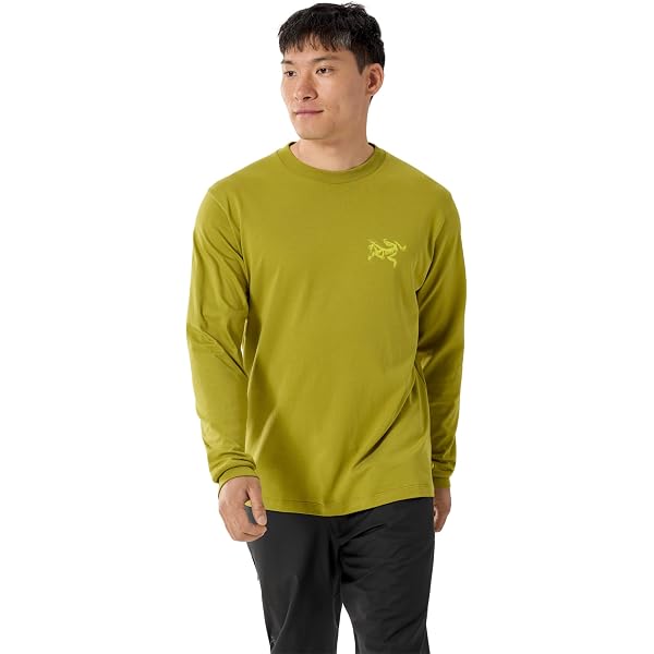 Arc'teryx Covert LT Pullover Men's | Lightweight, Versatile Fleece