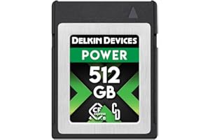 Delkin 512GB Memory Card - CFexpress Type B 4.0 for Digital Cameras | Ideal for Express Transfer of Images and Videos for Sto