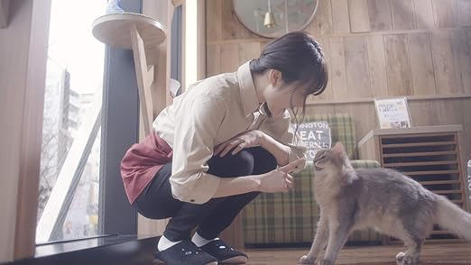 Amazon 猫カフェ Dvd 映画