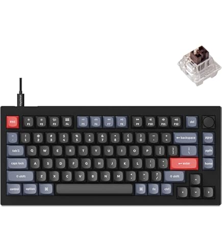 Keychron V1 有線 Amazon.com: Keychron V1 Wired Custom Mechanical Keyboard, 75