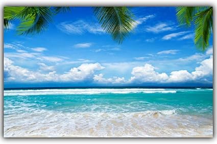 puzzles paisajes amazon