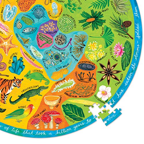 eeBoo Biodiversity Round Puzzle, 500 Pieces