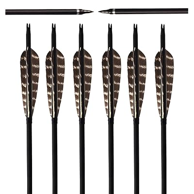ARCHERY SHARLY 31Inch Carbon Targeting Practice Arrows Turkey Feather Fletching Arrows with Removable Tips for Recurve Traditional Long Bow
