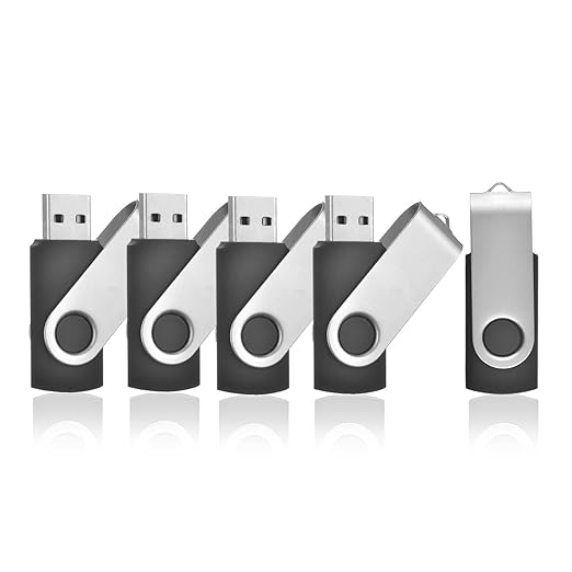 TEWENE 5 Stück 2GB USB Stick 2.0 Speicherstick Memory Speed Flash Drive (Schwarz)