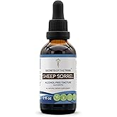 Sheep Sorrel Tincture Alcohol-Free Extract, Made with Sheep Sorrel (Rumex Acetosella) Dried Herb 2 oz