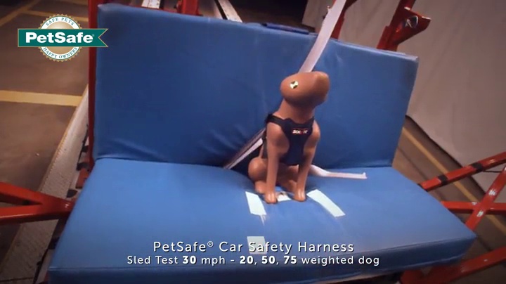 petsafe car harness