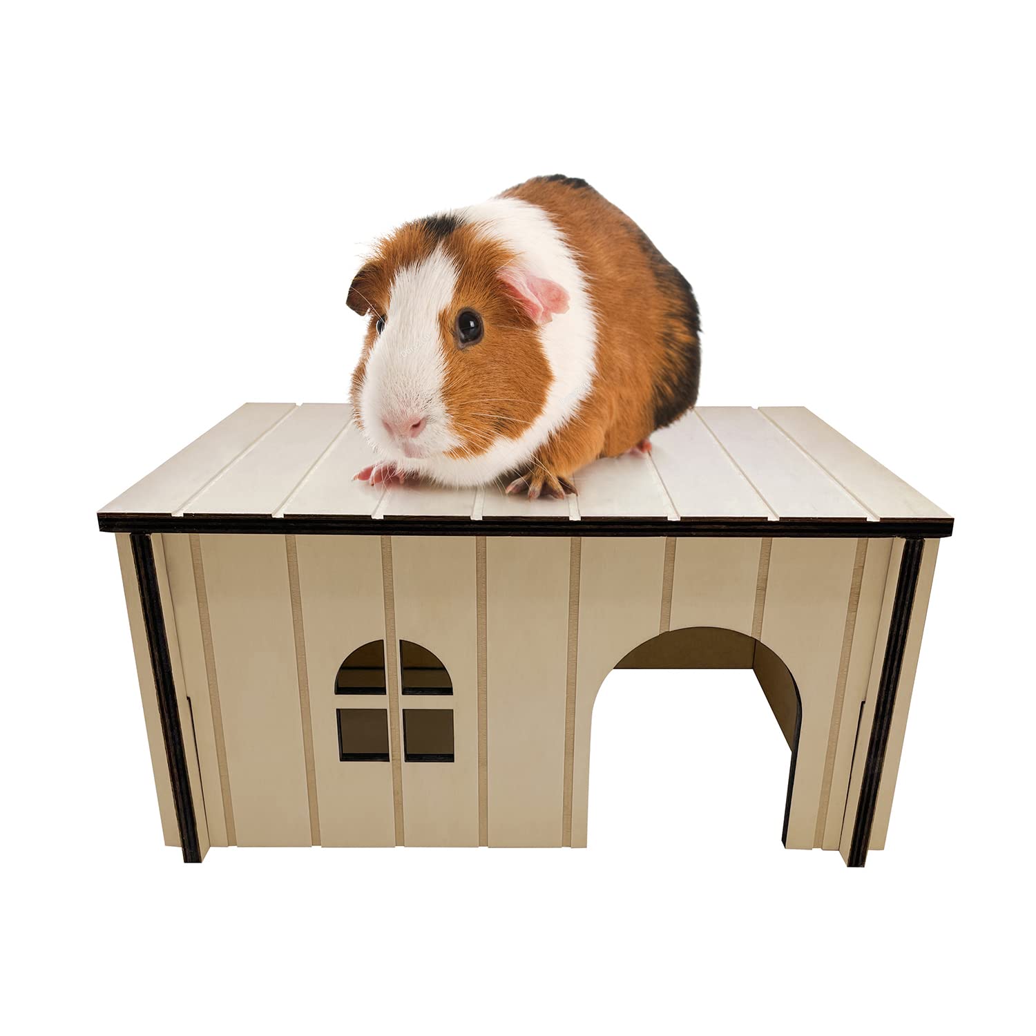 Wooden Guinea Pig House 33x16x24cm | Pet Animal Hide Hideout Ideal For Dwarf Rabbits Tortoise Rats Pygmy Hedgehog | Perfect Nesting Box Slots Together in Seconds (Medium)