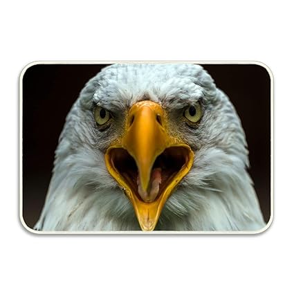 Amazoncom Cool Bald Eagle Head Doormat Rubber Non Slip
