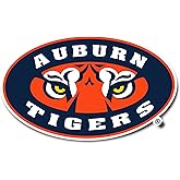 Desert Cactus Auburn University Sticker Vinyl Decal Laptop Water Bottle Car Scrapbook (IND 5)