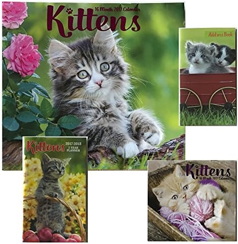 16-Months 2017 4-Piece Gift Set: Includes Annual Wall Photo Calendar, Mini Calendar, 2 Year Planner, Address Book (Kittens)