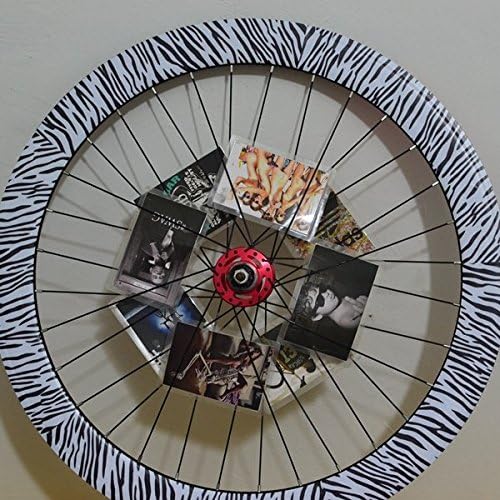 Lelantus Fixed Gear Bike Bicycle Wheel Group Zebra Color Reflective Stickers