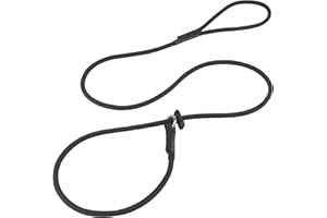 FURSDOLY Slip Lead Dog Leash – Strong Nylon Training Rope with Spring-Loaded Adjustable Stopper – 5/16" x 4/5/6ft -No Pull Heavy Duty Leash for Small Medium Large Dogs(Black, 5 FT)