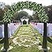 HEJIAYI 3 Pack 96 Inch Rose Vine Silk Flower Garland Artificial Flowers Plants Leaf Vine for Home Wedding Decoration (White)