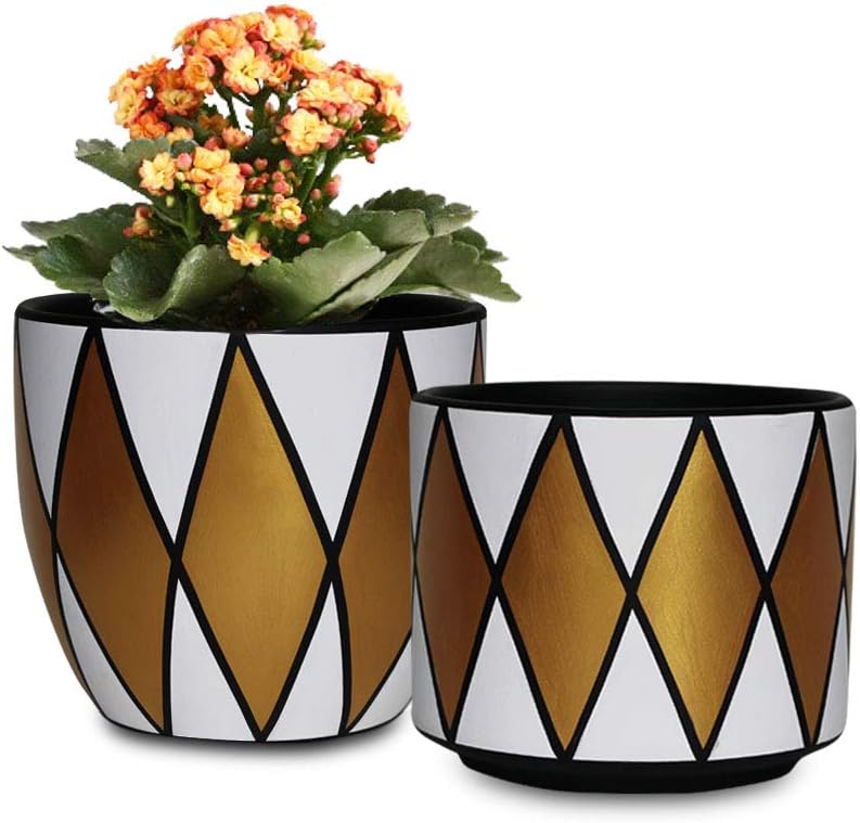 White Ceramic Flower Pot Indoor Planters,6 Inch Pack 2 Small Round Pot with Drainage, Plant Containers with Gold and Black Detailing