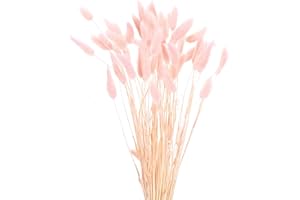MECCANIXITY 60pcs Natural Rabbit Bunny Tails Dried Flowers 17" Mini Pampas Grass Lagurus Ovatus Bunch for Floral Wedding Deco