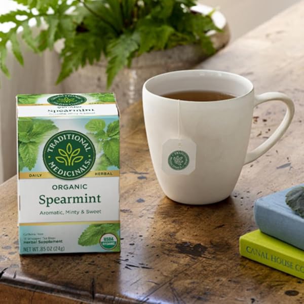 TRADITIONAL MEDICINALS ORGANIC TEA – SPEARMINT 16 BAGS (PACK OF 2)