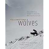 Yellowstone Wolves: Science and Discovery in the World's First National Park