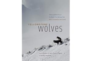 Yellowstone Wolves: Science and Discovery in the World's First National Park