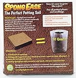 EnRoot Products Spong Ease the perfect potting soil